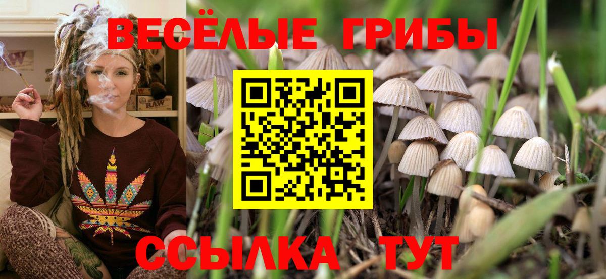 где продают наркотики  Псилоцибиновые грибы ЛСД  Альметьевск  Вход с VPN  Галлюциногенные грибы мухоморы 